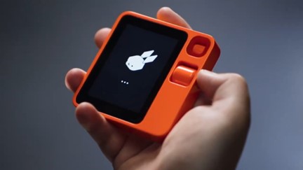 O coelho r1 companheiro de bolso